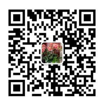 掃一掃訪問(wèn)網(wǎng)站